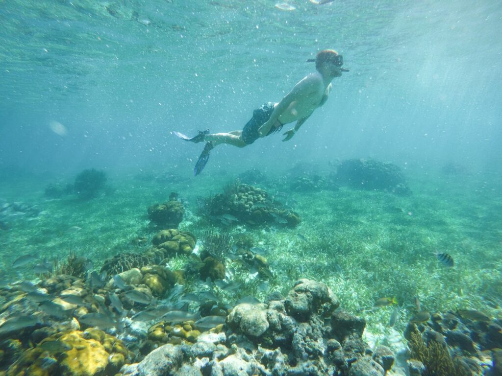 Belize Snorkeling Adventure