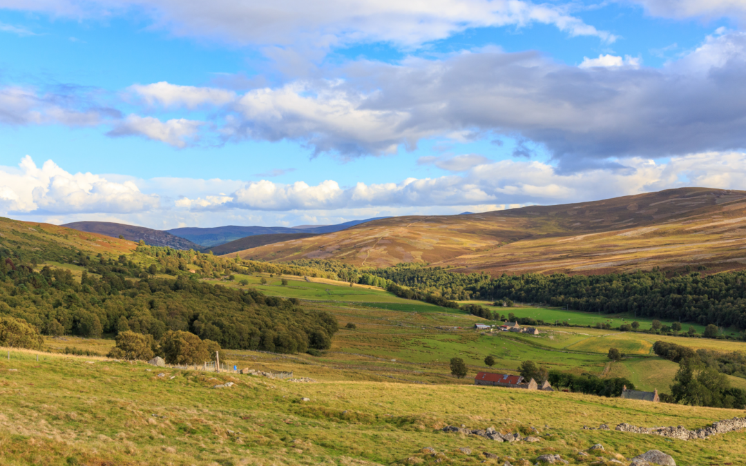 Cairngorms National Park: Escape to the Scottish Highlands