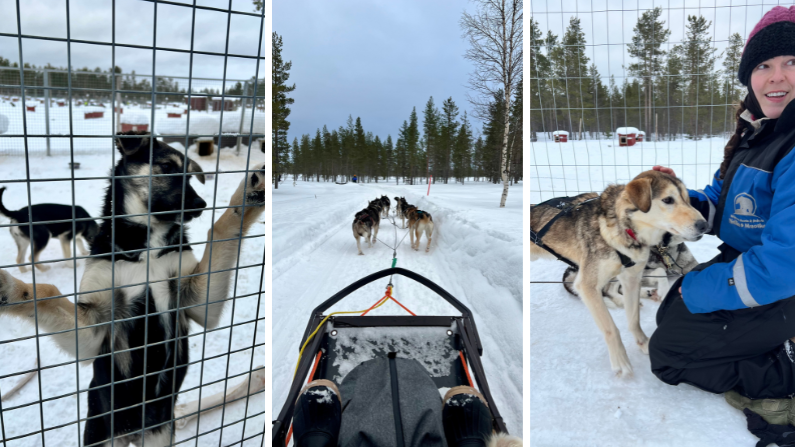 Visiting a husky farm was one of our favorite activities in Finnish Lapland